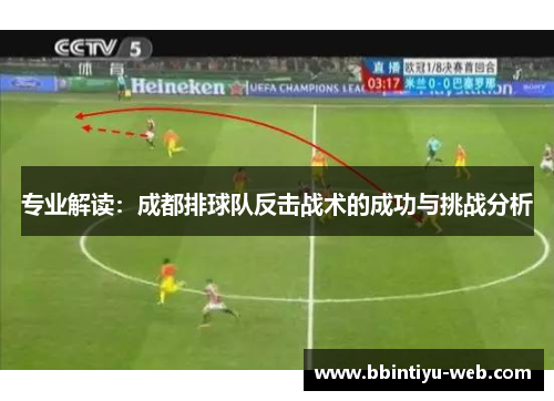 专业解读：成都排球队反击战术的成功与挑战分析